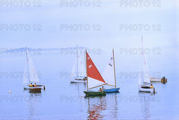 Sailboats