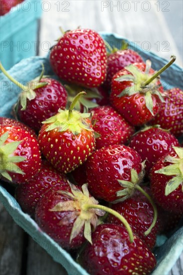 Carton of Fresh Organic Strawberries