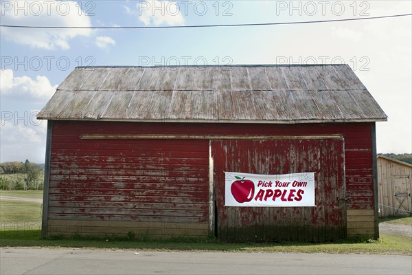 Weathered Red Barn at Apple Orchard