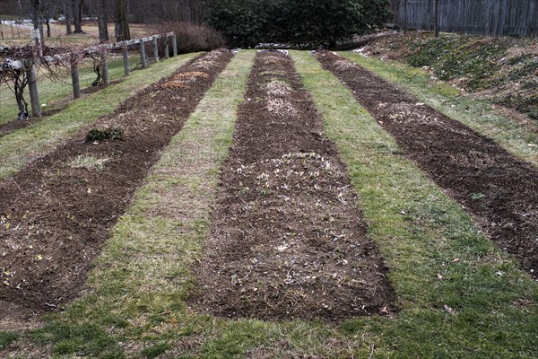 Three Rows of Raised Garden Beds