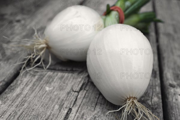 Two Spring Onions on Wood Table