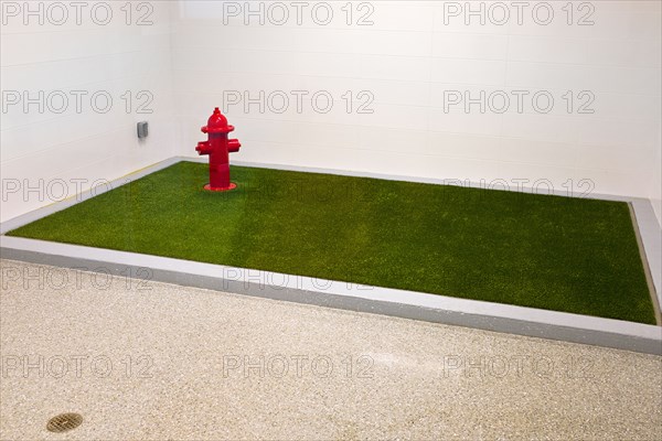 Designated Public Pet Relief Area with Artificial Grass and Fire Hydrant