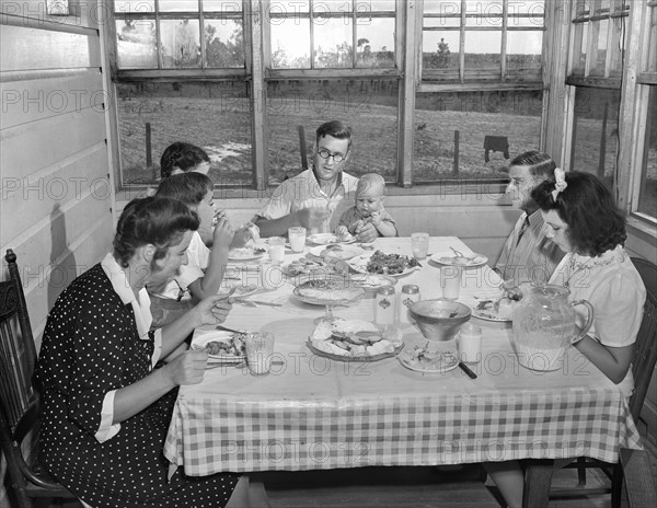 Family having Sunday Dinner