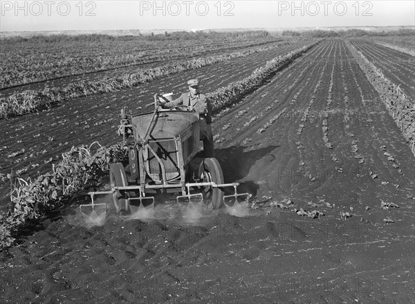 Motor-driven Sprayer Machine