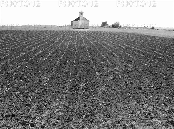 Church and Cotton Field