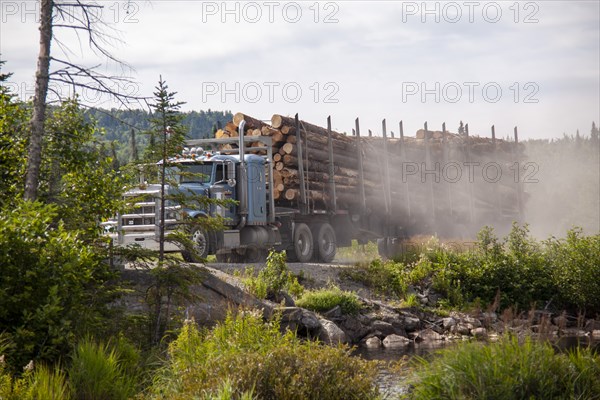 Logging truck driving down dusty road