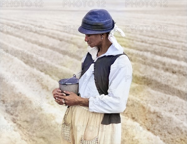 Woman planting corn on large farm near Moncks Corner