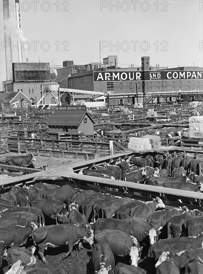 Stockyards