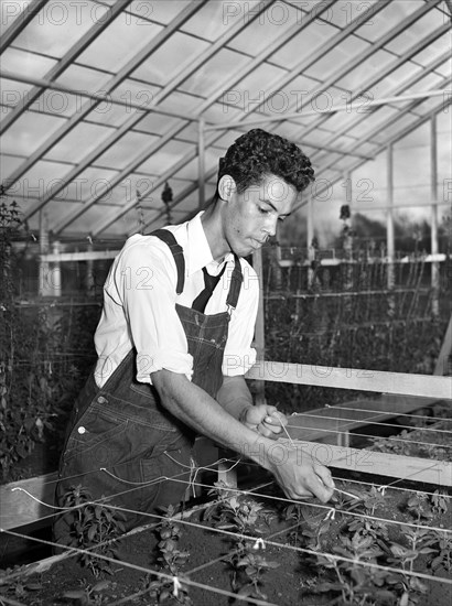 Student in greenhouse