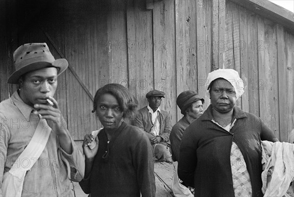 Cotton pickers