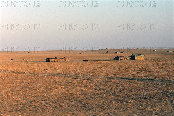 Bedouin tents