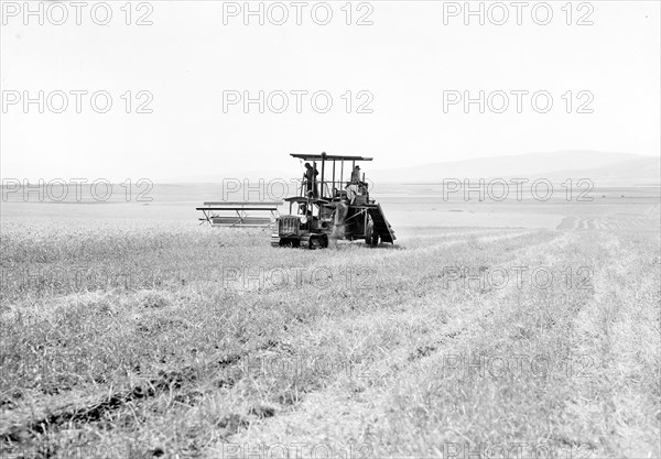 Modern harvester on Plain of Esdraelon