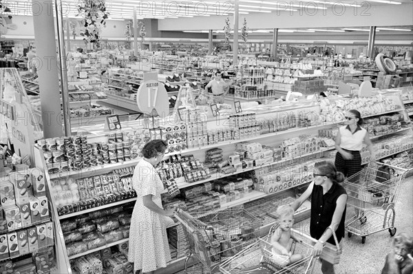 Women with shopping carts in supermarket
