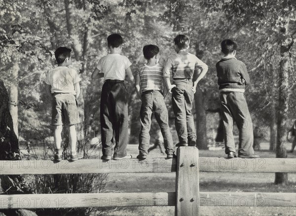 Rear view of five young boys standing on park fence