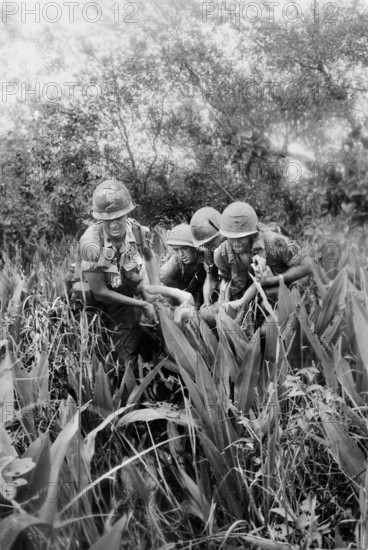 Members of Company B, 4th Battalion, 12th Infantry, 199th infantry Brigade, carrying wounded member of the company from field during fire fight, Lhu Duc District, Vietnam, U.S. Army Signal Corps, October 14, 1967