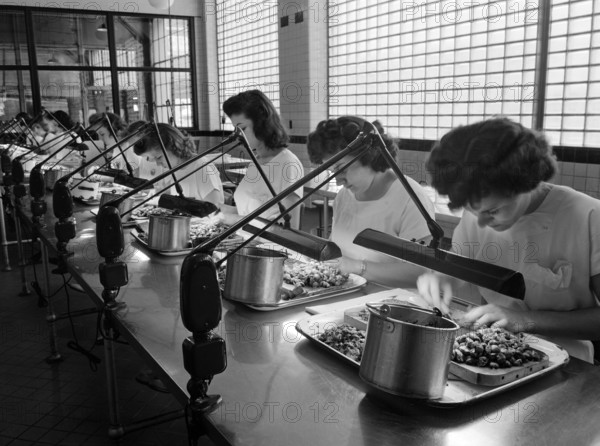 Group of female manufacturing chemists dissecting animal glands, Parke, Davis and Company, Detroit, Michigan, USA, Arthur S. Siegel, U.S. Office of War Information, May 1943