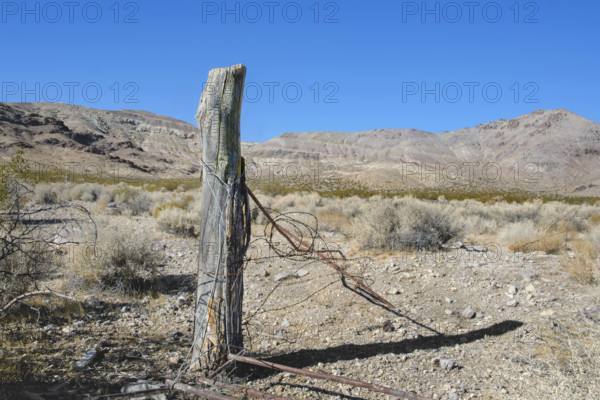 Old barbed wire fence post in ghost town, Rhyolite, Nevada, USA