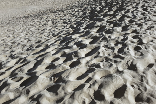 Rippled sand, Mesquite Flats sand dunes, Death Valley National Park, California, USA
