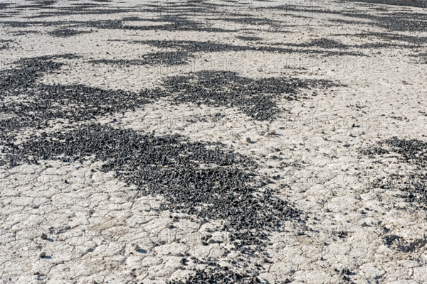 Scattered cinders from volcanic steam explosion on dried lake bed, Death Valley National Park, California, USA