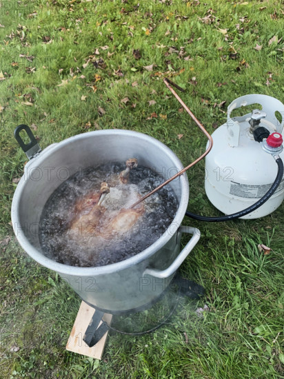 High angle view of deep frying turkey outdoor on autumn day