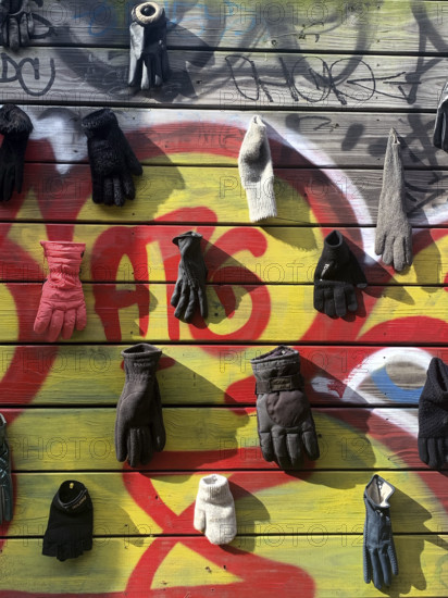Lost gloves and mittens hanging on wood fence, Brooklyn, New York, USA