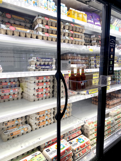 Egg display, Whole Foods Market, Williamsburg, Brooklyn, New York, USA