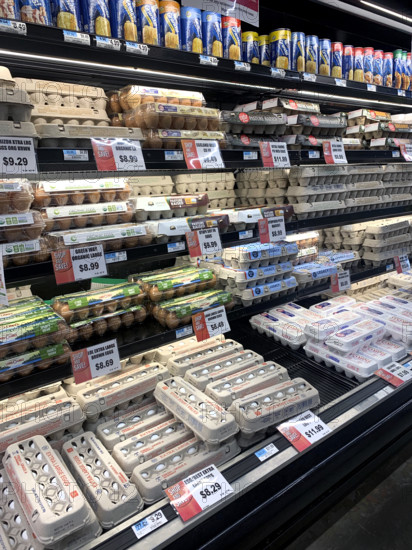 Egg display, Foodtown supermarket, Williamsburg, Brooklyn, New York, USA