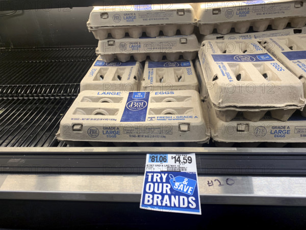 Egg display at grocery store, Brooklyn, New York, USA