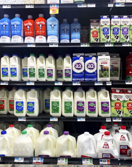 Dairy section in grocery store, Brooklyn, NY, USA