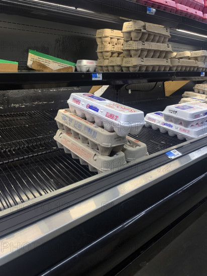 Egg section in grocery store, Brooklyn, NY, USA