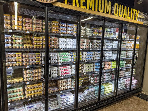 Eggs display in grocery store