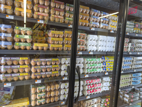 Eggs display in grocery store
