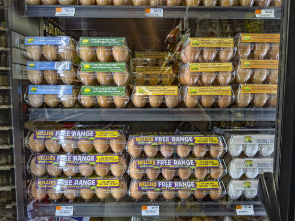 Eggs display in grocery store