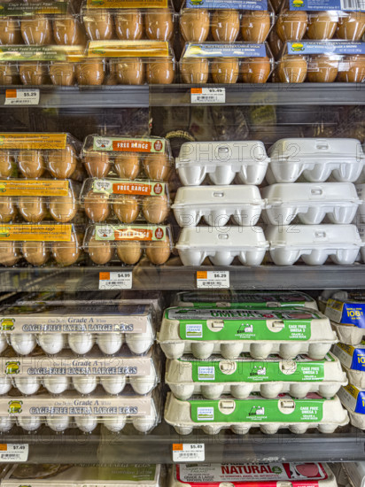 Eggs display in grocery store
