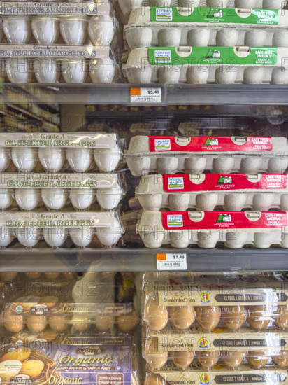 Eggs display in grocery store