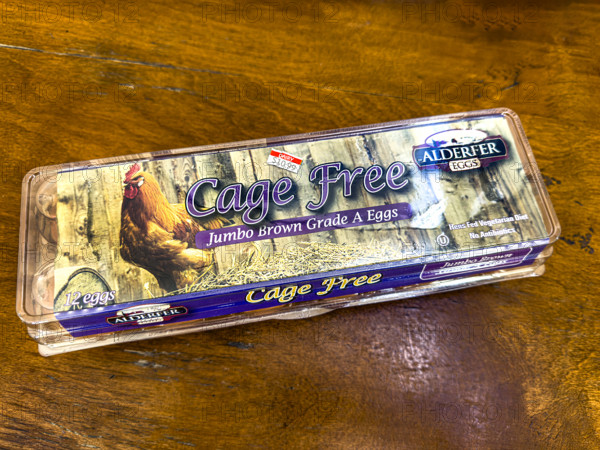 Carton of expensive Cage Free eggs