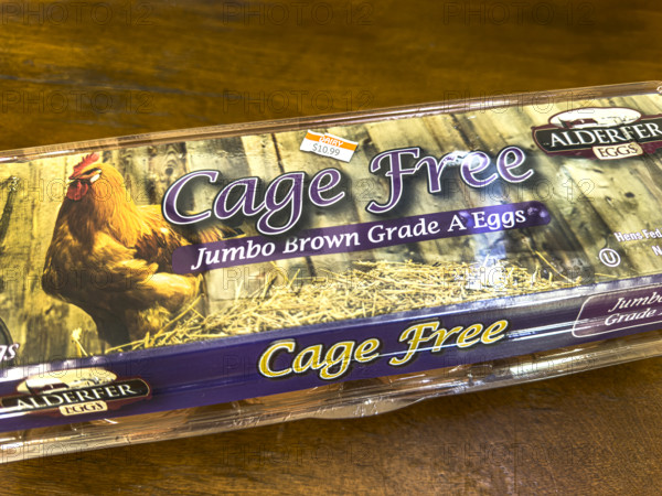 Carton of expensive Cage Free eggs