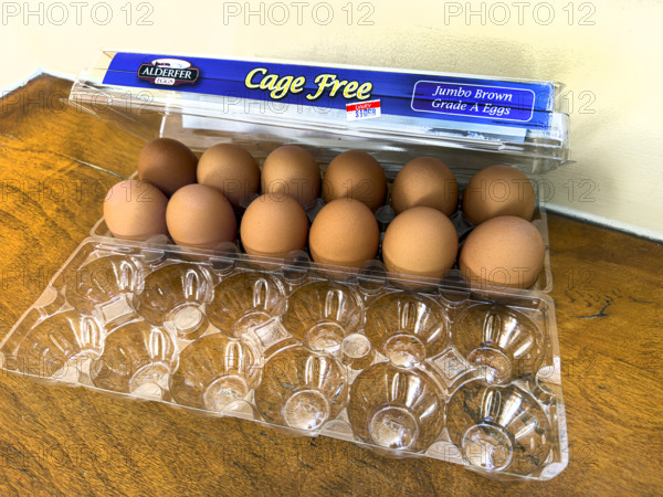 Carton of expensive Cage Free eggs