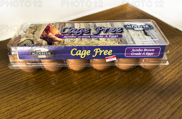 Carton of expensive Cage Free eggs