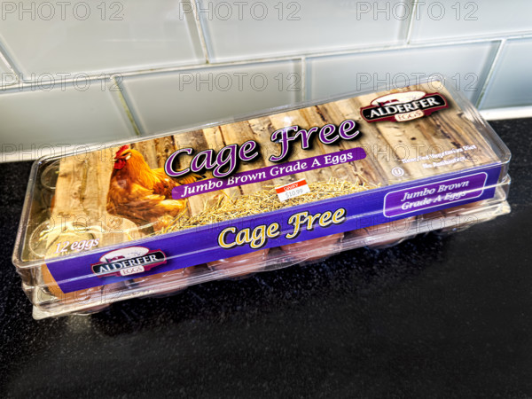 Carton of expensive Cage Free eggs