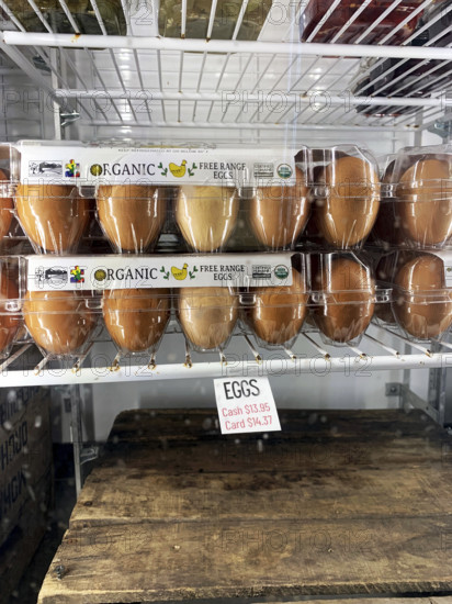 Egg Section in Grocery Store, Brooklyn, New York, USA