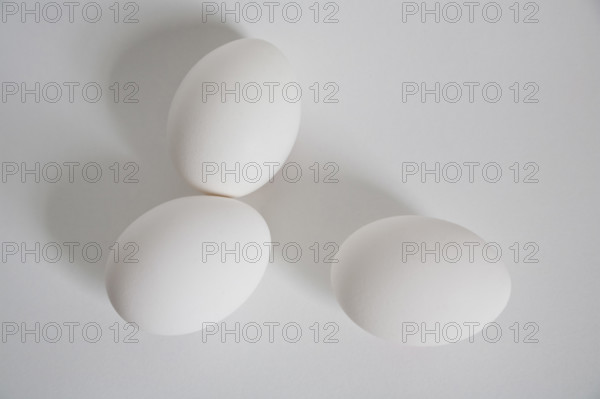 High angle view of three white eggs