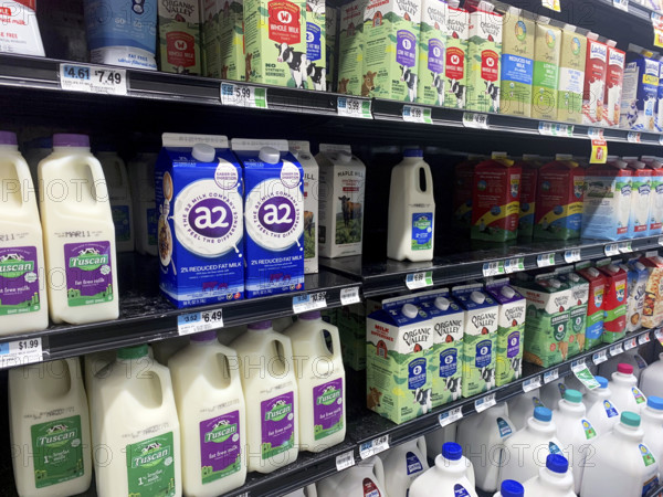 Milk section in grocery store, Brooklyn, New York, USA