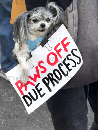 Demonstrators participating in "Our City, Our Fight: Protect Migrants, Protect the Planet" protest, New York City, New York, April 19, 2025
