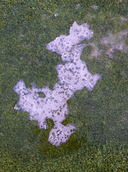 High angle view of frozen water on green synthetic grass