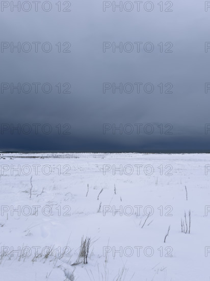Snowy field with dramatic gray sky