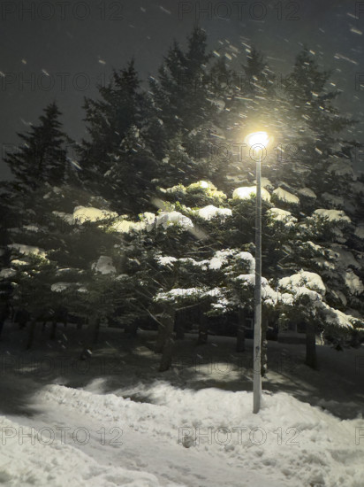 Illuminated lamppost at night in winter