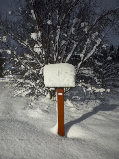 Signpost and trees covered in snow at night