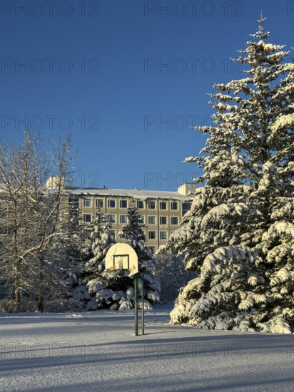 Basketball hoop in snow-covered neighborhood park in winter