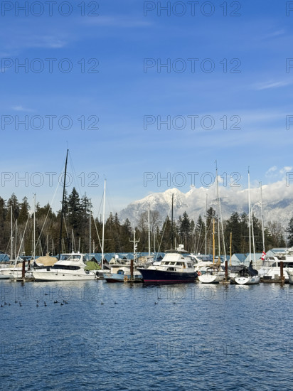Boats in harbor with majestic snow-covered mountains in background, Coal Harbour, Vancouver, British Columbia, Canada